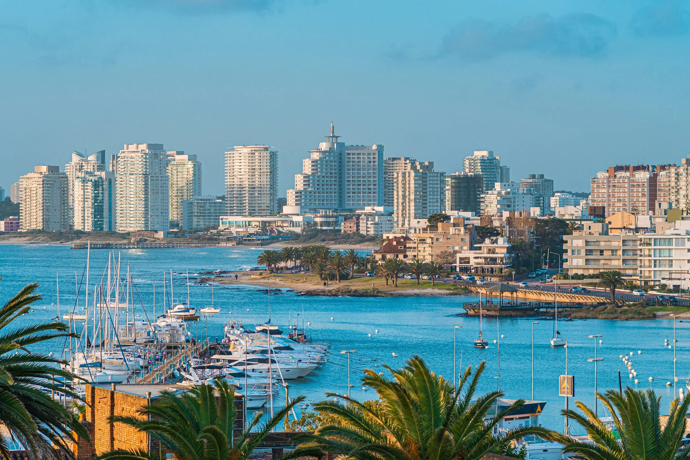 Punta del Este yacht harbor and coastal skyline