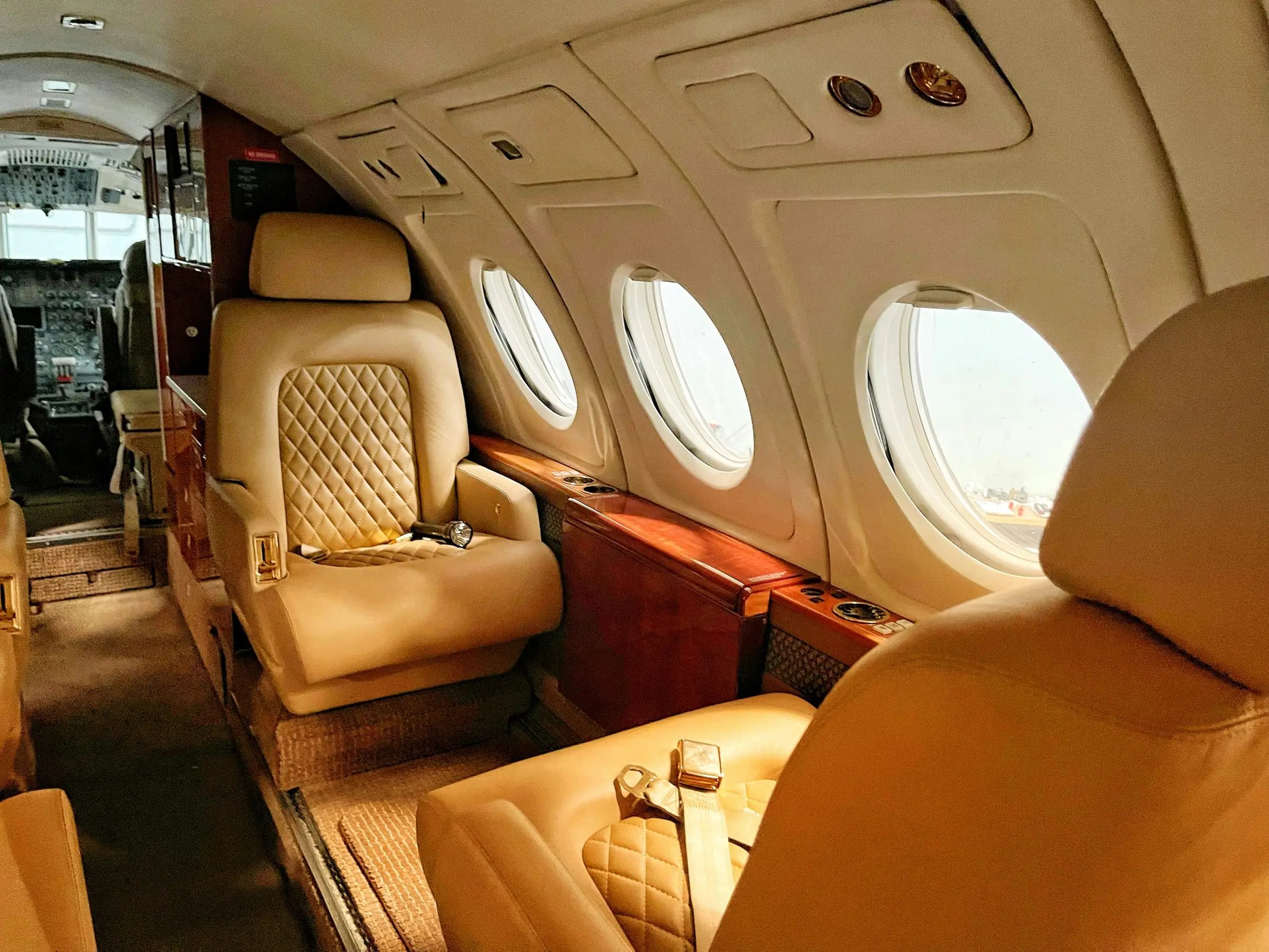 Private business jet cabin with leather seats