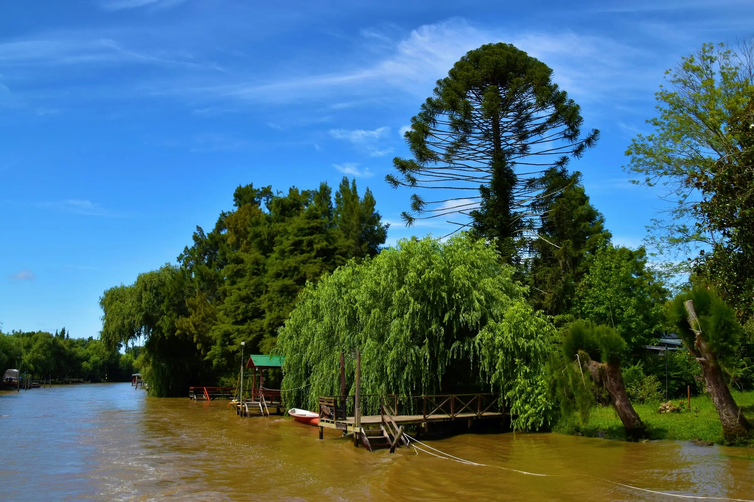 Tigre Delta river channel and trees