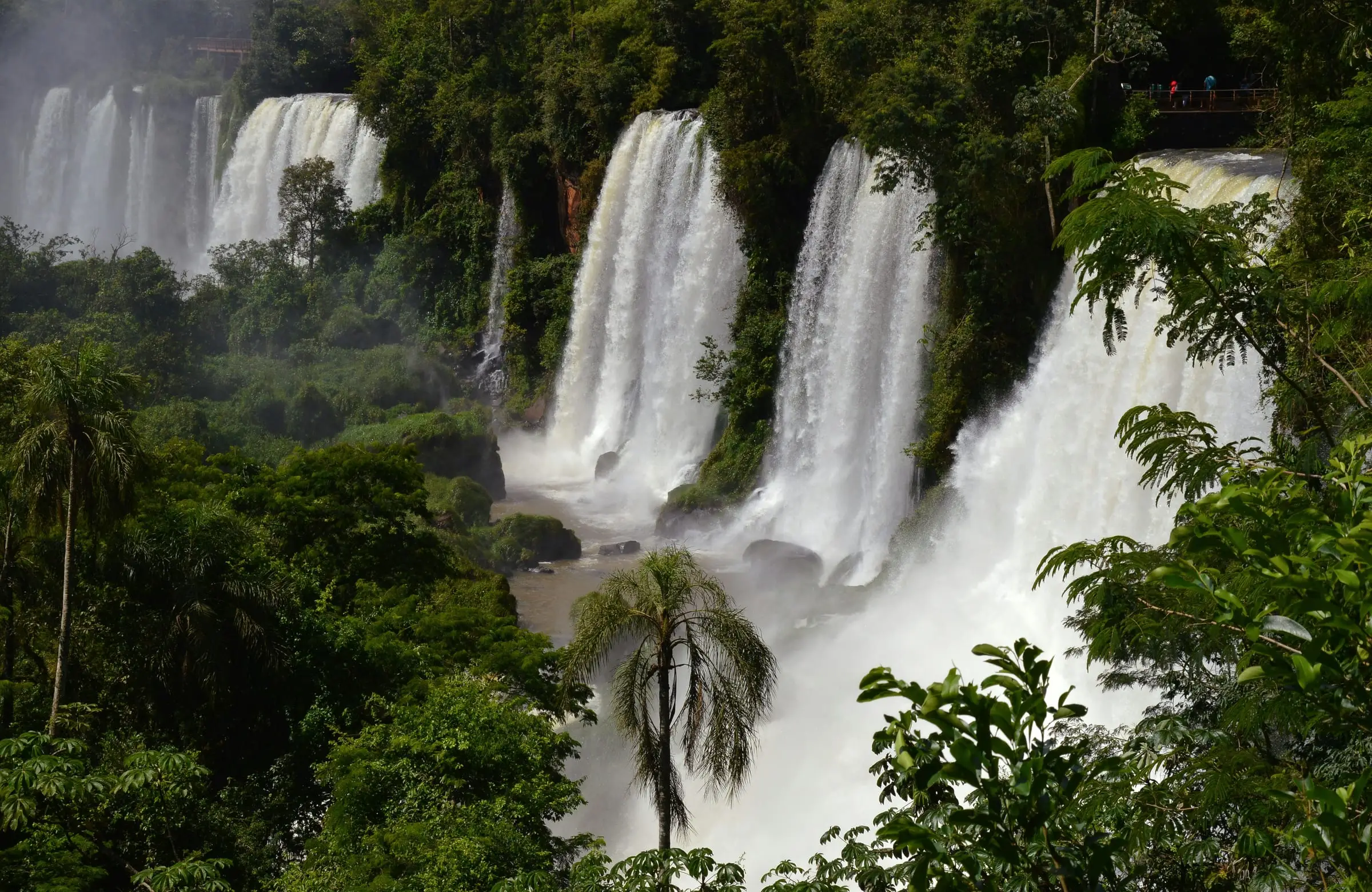 Iguazú waterfalls framed by rainforest